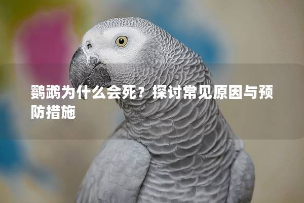 鹦鹉为什么会死？探讨常见原因与预防措施