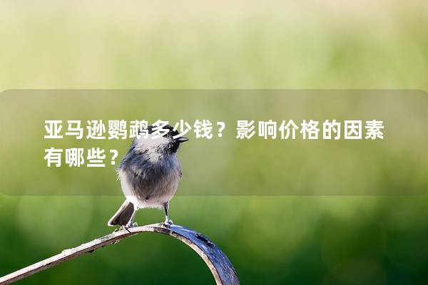 亚马逊鹦鹉多少钱？影响价格的因素有哪些？