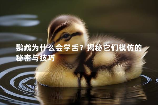 鹦鹉为什么会学舌？揭秘它们模仿的秘密与技巧
