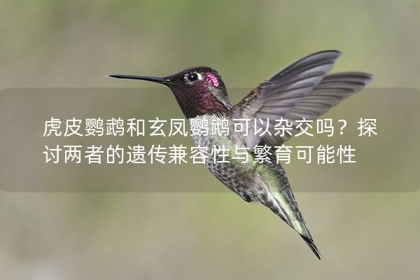 虎皮鹦鹉和玄凤鹦鹉可以杂交吗？探讨两者的遗传兼容性与繁育可能性