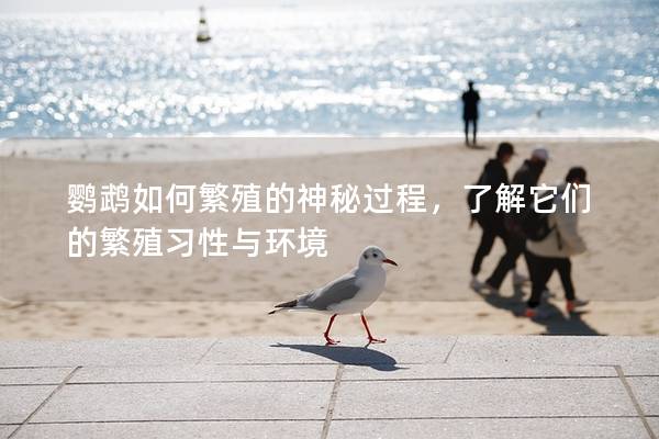 鹦鹉如何繁殖的神秘过程，了解它们的繁殖习性与环境