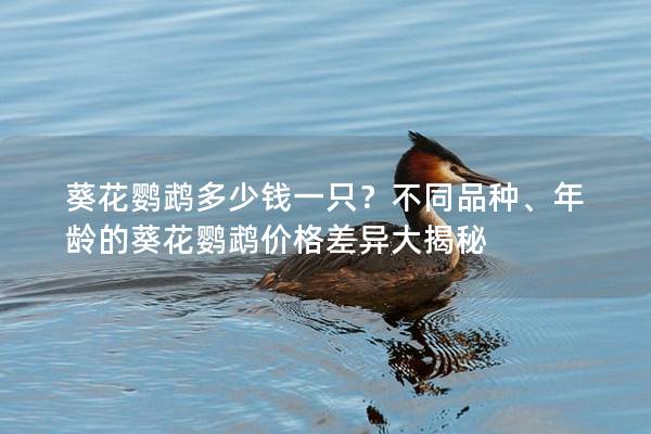 葵花鹦鹉多少钱一只？不同品种、年龄的葵花鹦鹉价格差异大揭秘