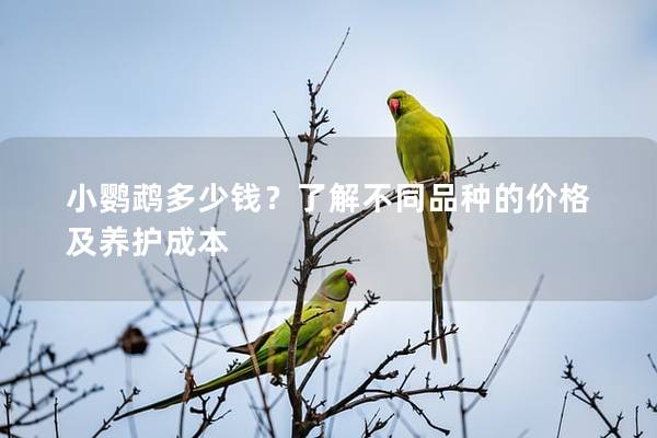 小鹦鹉多少钱？了解不同品种的价格及养护成本