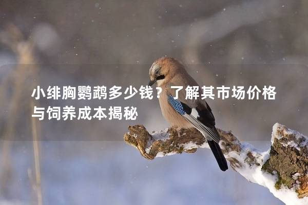 小绯胸鹦鹉多少钱？了解其市场价格与饲养成本揭秘
