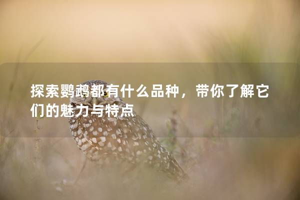探索鹦鹉都有什么品种，带你了解它们的魅力与特点