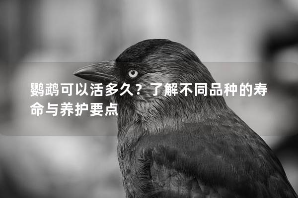 鹦鹉可以活多久？了解不同品种的寿命与养护要点
