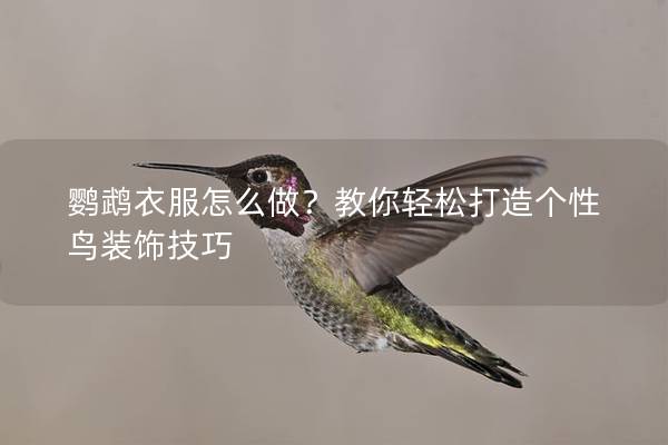 鹦鹉衣服怎么做？教你轻松打造个性鸟装饰技巧