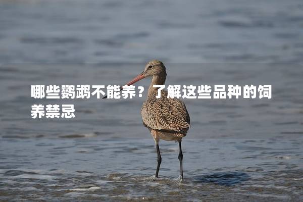 哪些鹦鹉不能养？了解这些品种的饲养禁忌
