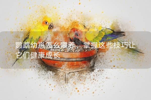 鹦鹉幼崽怎么喂养，掌握这些技巧让它们健康成长