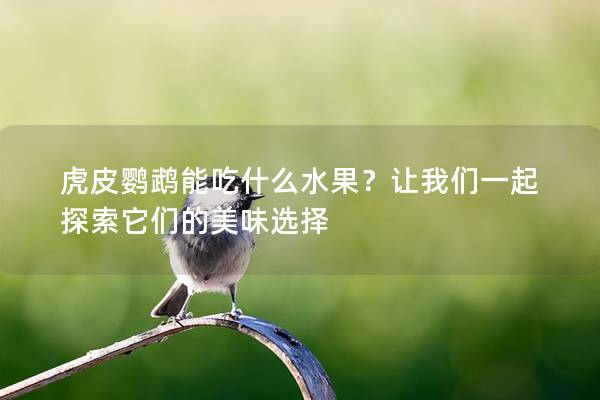 虎皮鹦鹉能吃什么水果？让我们一起探索它们的美味选择