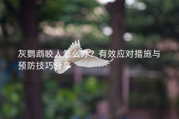 灰鹦鹉咬人怎么办？有效应对措施与预防技巧分享
