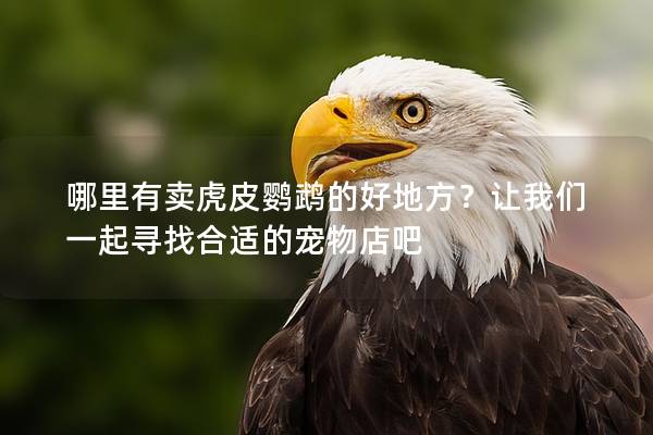 哪里有卖虎皮鹦鹉的好地方？让我们一起寻找合适的宠物店吧