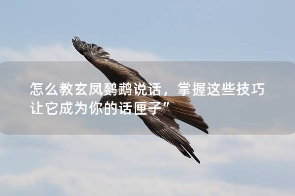怎么教玄凤鹦鹉说话，掌握这些技巧让它成为你的话匣子”