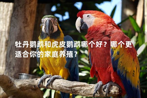 牡丹鹦鹉和虎皮鹦鹉哪个好？哪个更适合你的家庭养殖？