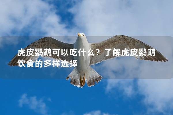 虎皮鹦鹉可以吃什么？了解虎皮鹦鹉饮食的多样选择