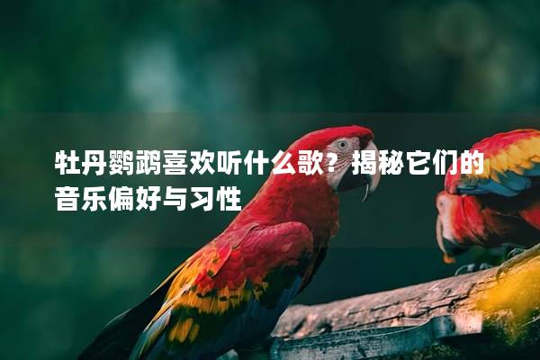 牡丹鹦鹉喜欢听什么歌？揭秘它们的音乐偏好与习性