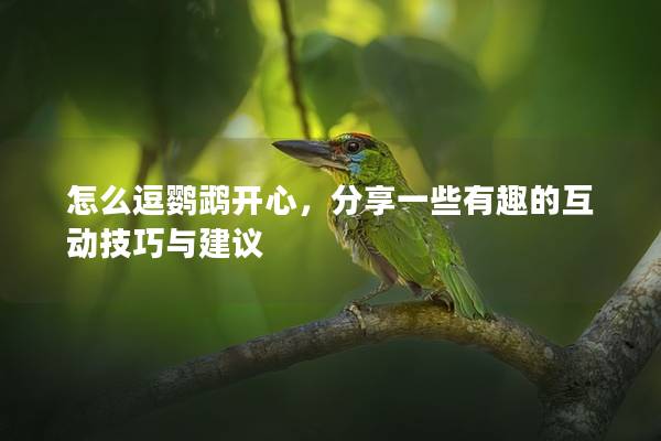 怎么逗鹦鹉开心，分享一些有趣的互动技巧与建议