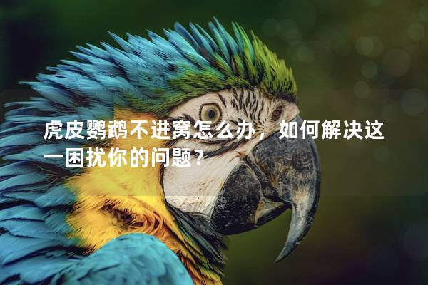 虎皮鹦鹉不进窝怎么办，如何解决这一困扰你的问题？