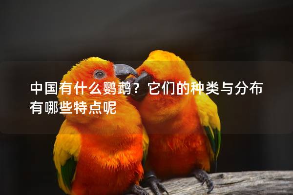 中国有什么鹦鹉？它们的种类与分布有哪些特点呢