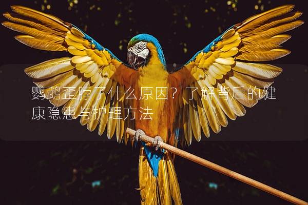 鹦鹉歪脖子什么原因？了解背后的健康隐患与护理方法