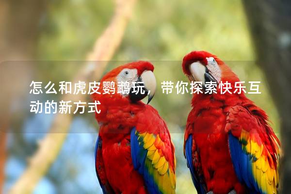 怎么和虎皮鹦鹉玩，带你探索快乐互动的新方式