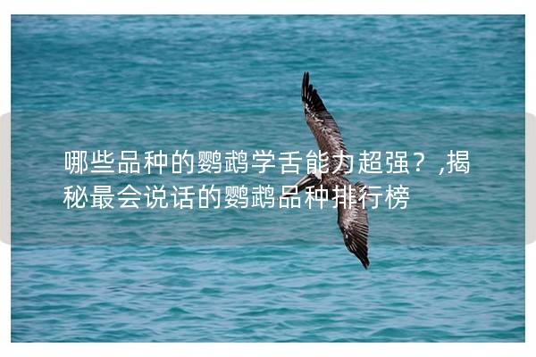 哪些品种的鹦鹉学舌能力超强？,揭秘最会说话的鹦鹉品种排行榜