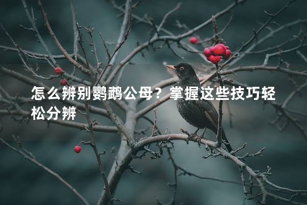 怎么辨别鹦鹉公母？掌握这些技巧轻松分辨