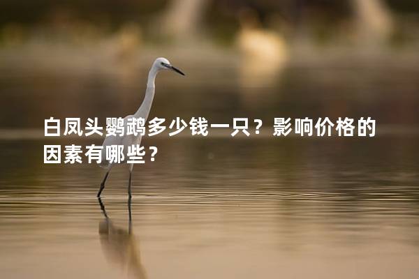 白凤头鹦鹉多少钱一只？影响价格的因素有哪些？