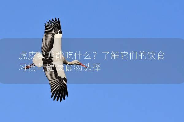 虎皮鹦鹉能吃什么？了解它们的饮食习惯与健康食物选择