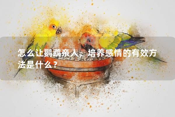 怎么让鹦鹉亲人，培养感情的有效方法是什么？