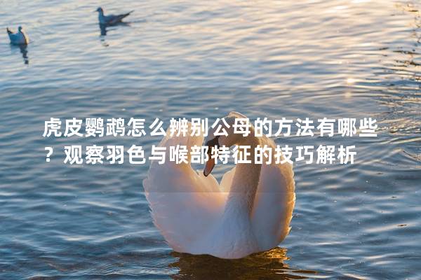 虎皮鹦鹉怎么辨别公母的方法有哪些？观察羽色与喉部特征的技巧解析