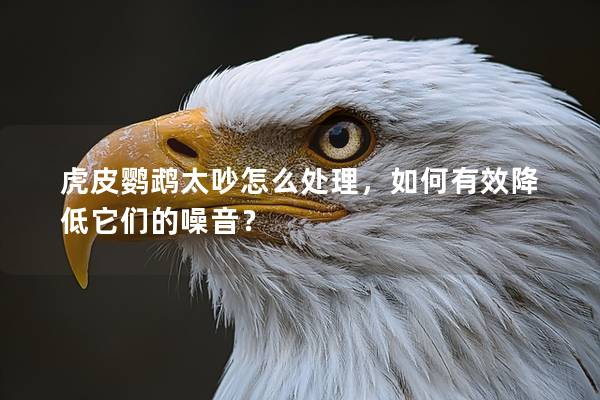 虎皮鹦鹉太吵怎么处理，如何有效降低它们的噪音？