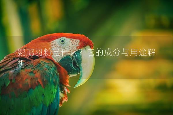 鹦鹉羽粉是什么？它的成分与用途解析
