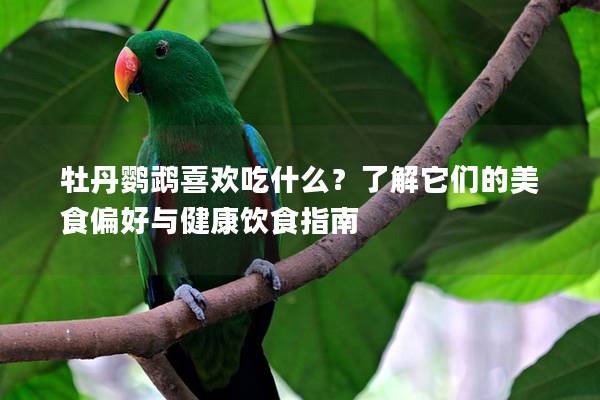 牡丹鹦鹉喜欢吃什么？了解它们的美食偏好与健康饮食指南