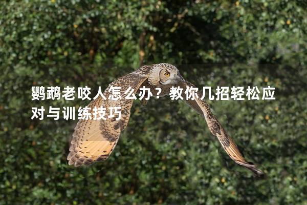 鹦鹉老咬人怎么办？教你几招轻松应对与训练技巧