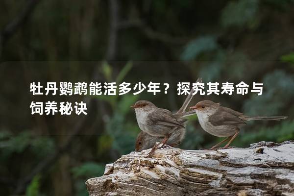 牡丹鹦鹉能活多少年？探究其寿命与饲养秘诀