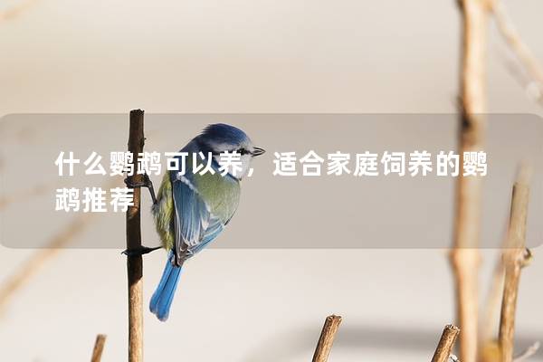什么鹦鹉可以养，适合家庭饲养的鹦鹉推荐