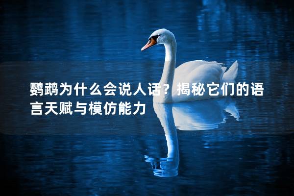 鹦鹉为什么会说人话？揭秘它们的语言天赋与模仿能力