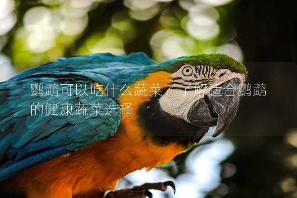 鹦鹉可以吃什么蔬菜？了解适合鹦鹉的健康蔬菜选择
