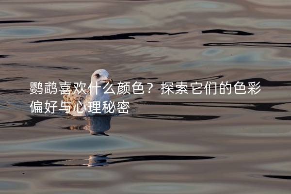 鹦鹉喜欢什么颜色？探索它们的色彩偏好与心理秘密
