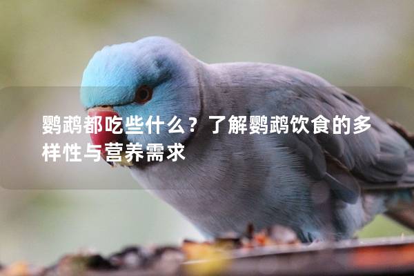 鹦鹉都吃些什么？了解鹦鹉饮食的多样性与营养需求
