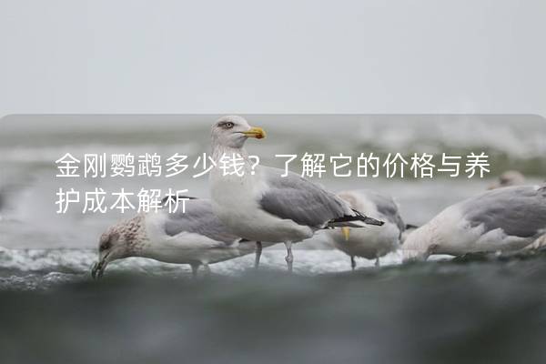 金刚鹦鹉多少钱？了解它的价格与养护成本解析