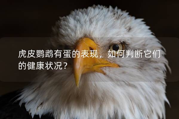 虎皮鹦鹉有蛋的表现，如何判断它们的健康状况？