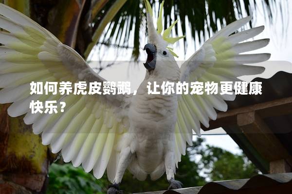 如何养虎皮鹦鹉，让你的宠物更健康快乐？