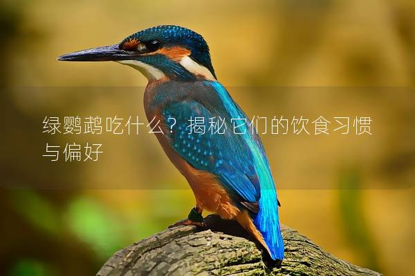 绿鹦鹉吃什么？揭秘它们的饮食习惯与偏好