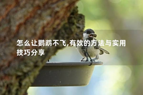 怎么让鹦鹉不飞,有效的方法与实用技巧分享