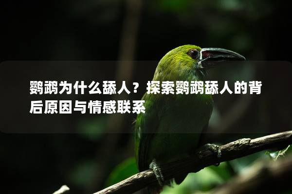 鹦鹉为什么舔人？探索鹦鹉舔人的背后原因与情感联系