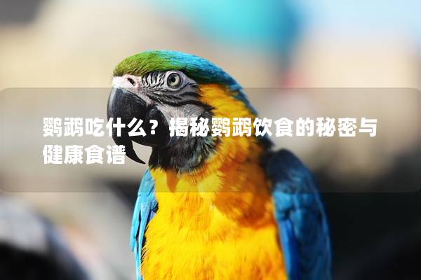 鹦鹉吃什么？揭秘鹦鹉饮食的秘密与健康食谱