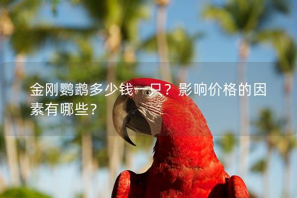 金刚鹦鹉多少钱一只？影响价格的因素有哪些？