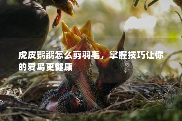 虎皮鹦鹉怎么剪羽毛，掌握技巧让你的爱鸟更健康